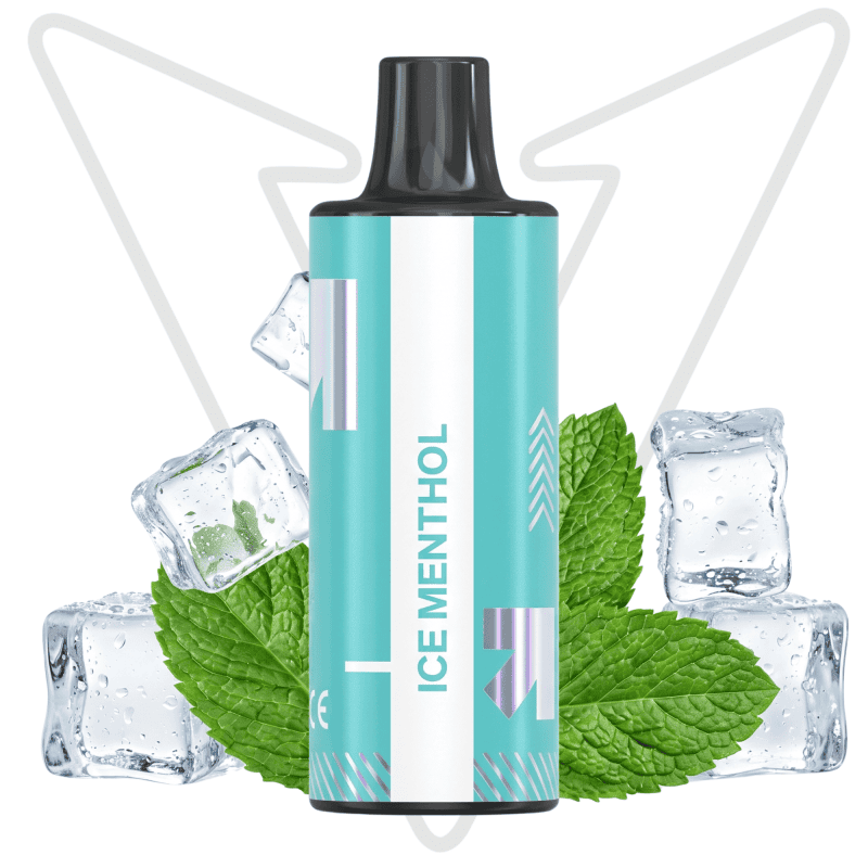 Flyto 6K Puffs Ice Menthol Cartridge Price in Bangladesh